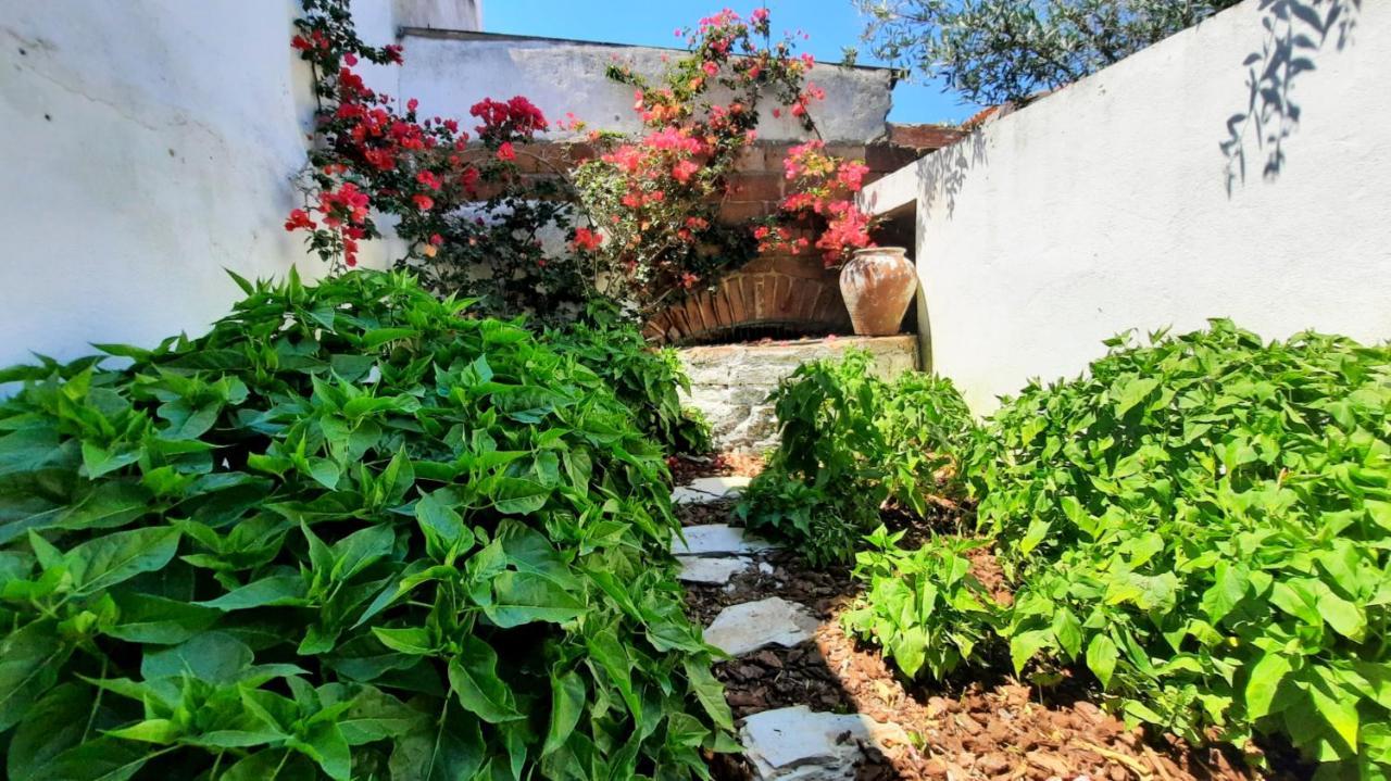 Villa Casa Do Compadre - Casas De Taipa São Pedro do Corval Exterior foto